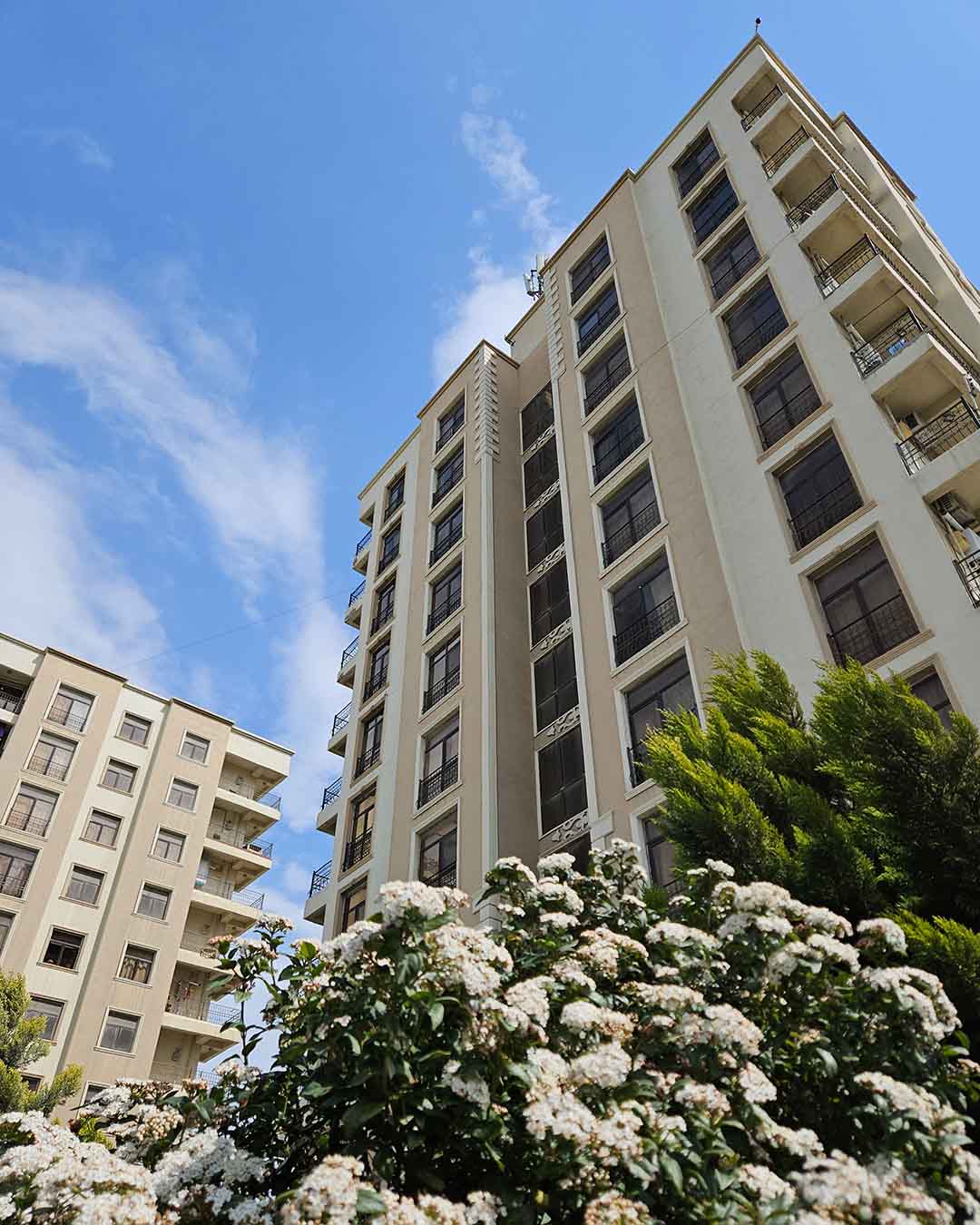 Bina və Tikinti İşləri