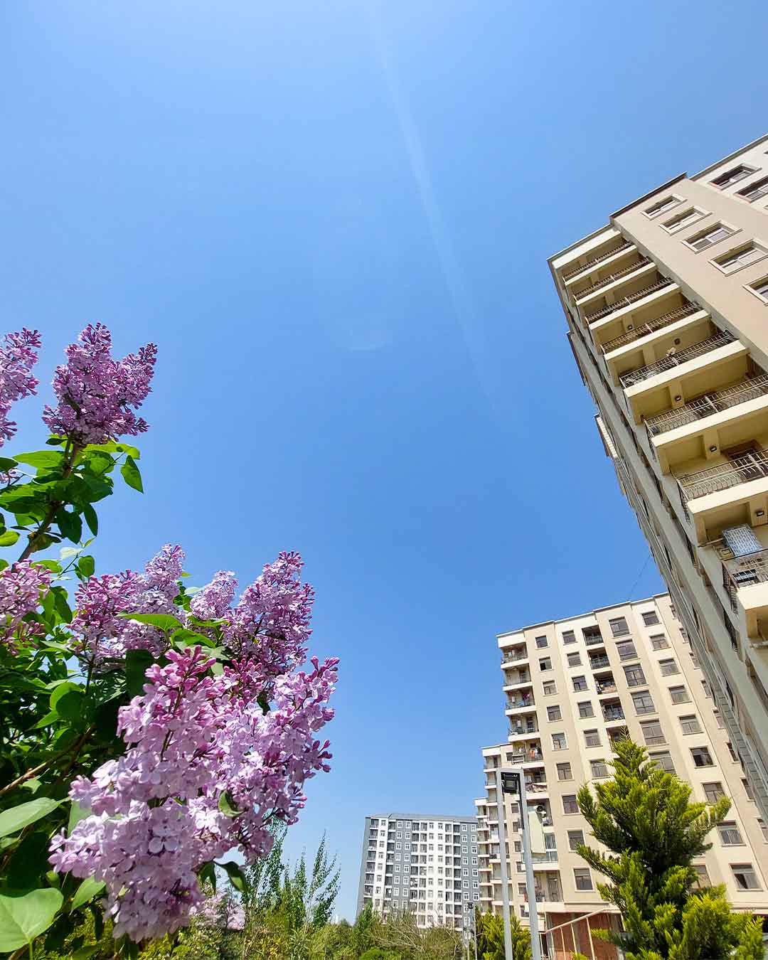 Bina və Tikinti İşləri