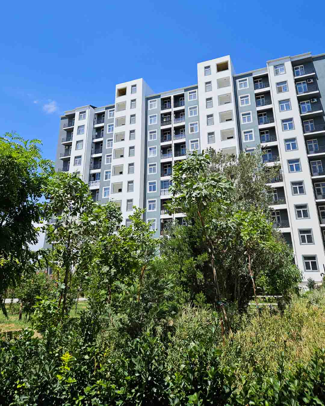 Bina və Tikinti İşləri