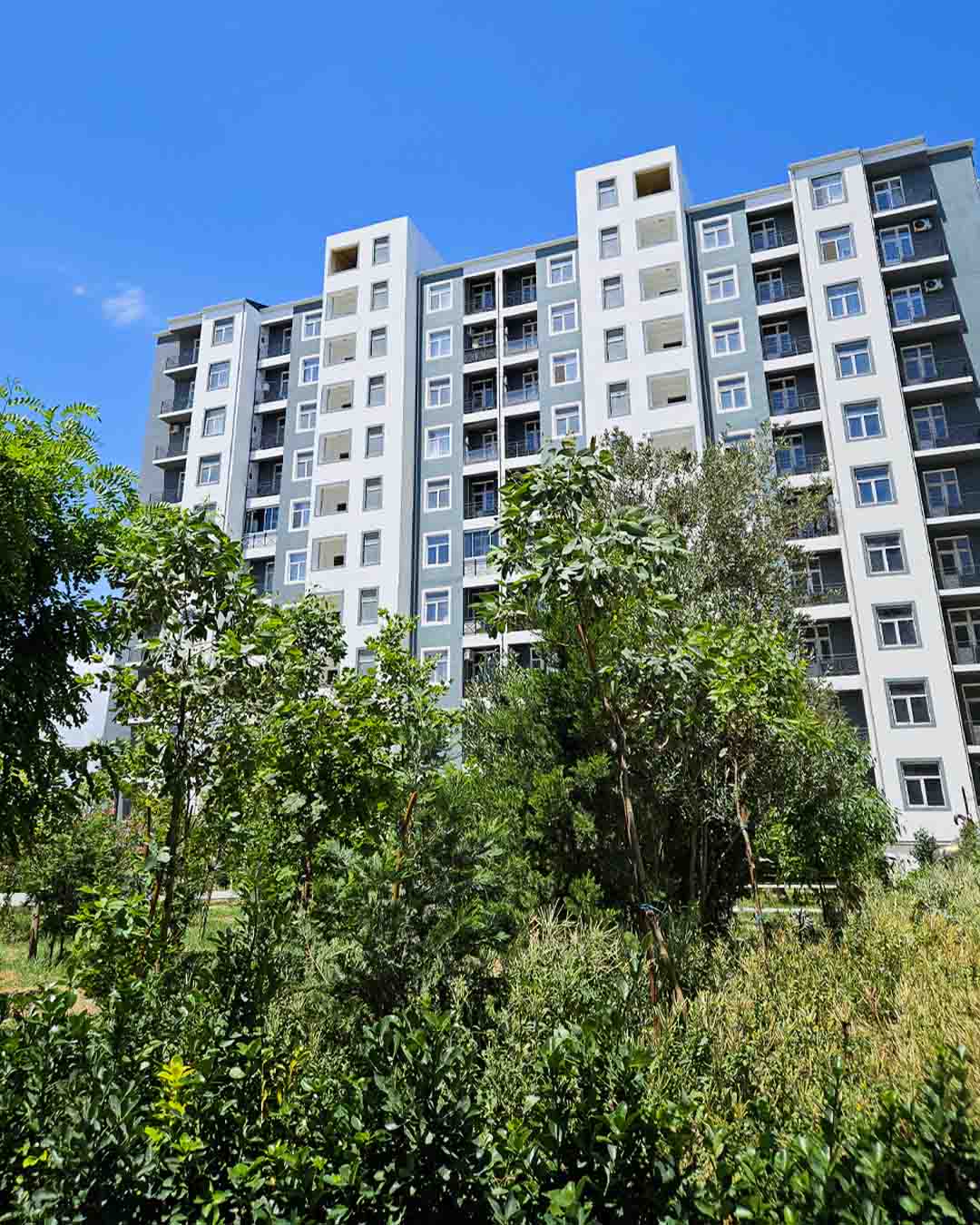 Bina və Tikinti İşləri